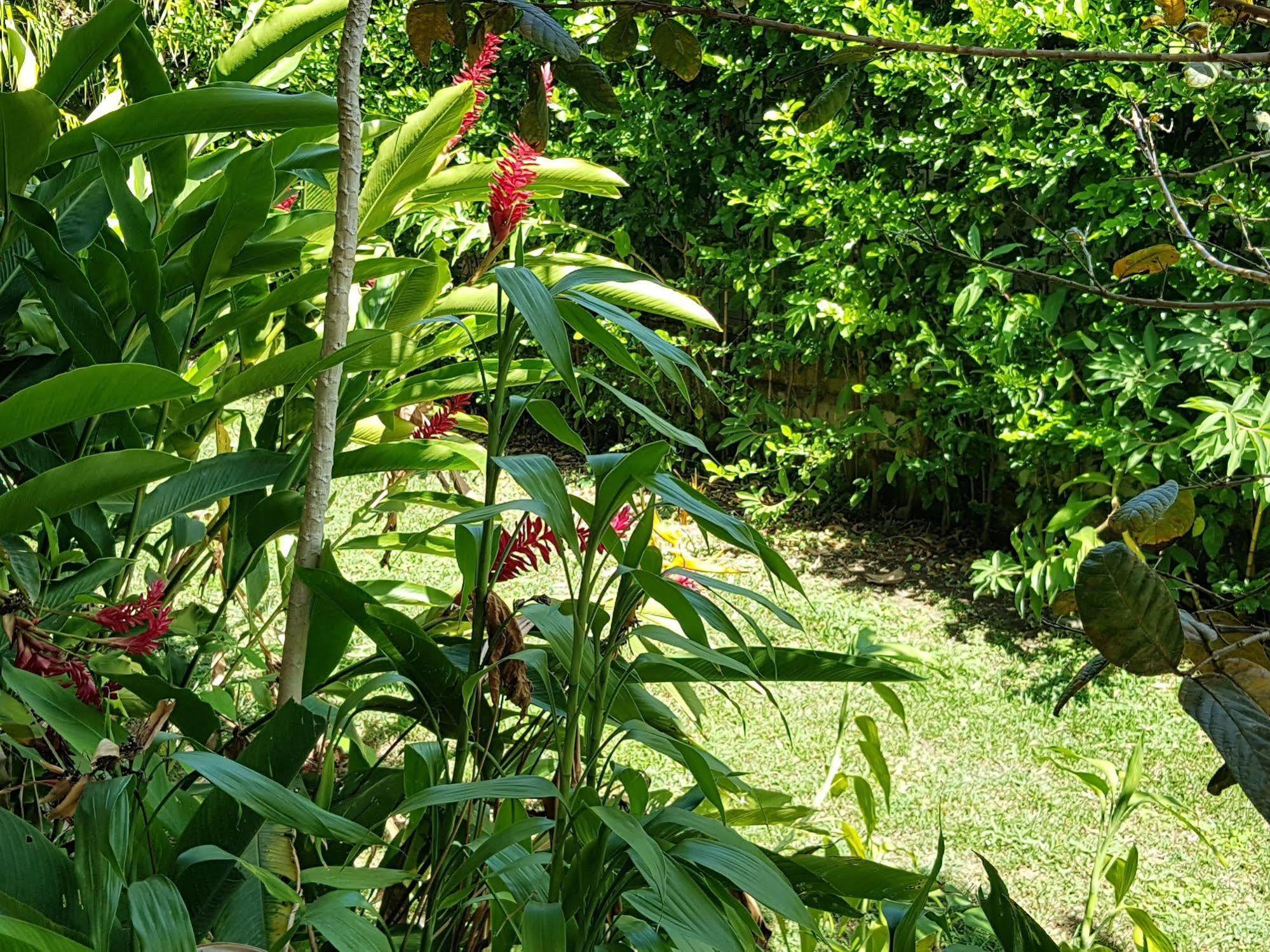 Hotel Nicoya Buitenkant foto