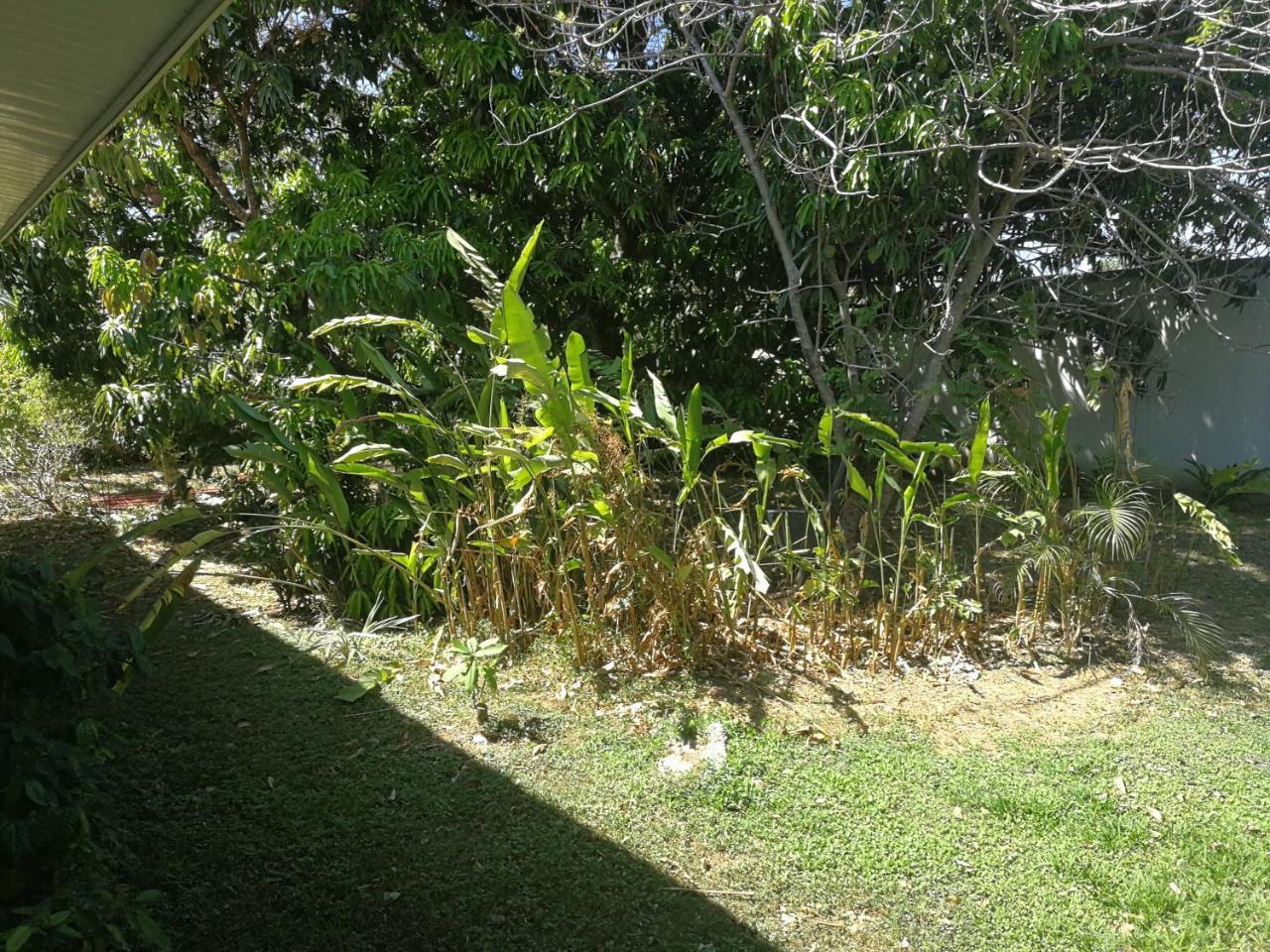 Hotel Nicoya Buitenkant foto